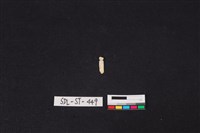 藏品(玉飾)的圖片