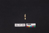 藏品(玉飾)的圖片