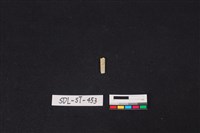 藏品(玉飾)的圖片