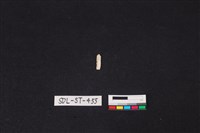 藏品(玉飾)的圖片