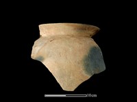 藏品(陶罐)的圖片