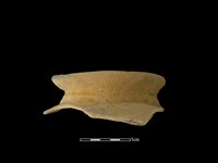 藏品(陶罐)的圖片