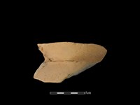 藏品(陶罐)的圖片