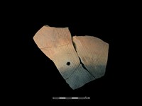 藏品(陶片)的圖片