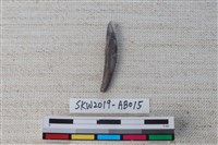 藏品(獸骨)的圖片