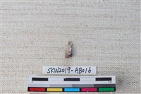 藏品(獸骨)的圖片