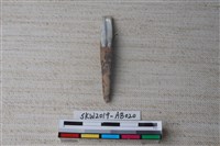 藏品(獸骨)的圖片