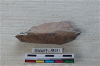 藏品(獸骨)的圖片