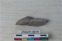 藏品(獸骨)的圖片