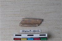 藏品(獸骨)的圖片