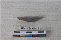 藏品(獸骨)的圖片