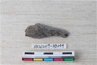 藏品(獸骨)的圖片