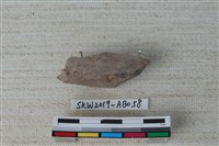 藏品(獸骨)的圖片