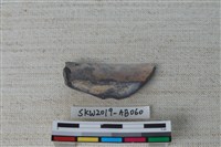 藏品(獸骨)的圖片