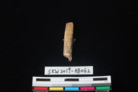 藏品(獸骨)的圖片