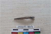 藏品(魚骨)的圖片