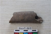 藏品(獸骨)的圖片