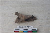 藏品(獸骨)的圖片