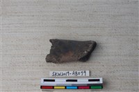 藏品(獸骨)的圖片