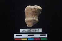 藏品(獸骨)的圖片