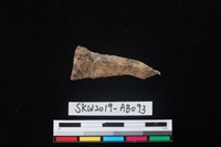 藏品(獸骨)的圖片