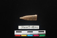 藏品(獸骨)的圖片