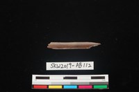 藏品(獸骨)的圖片