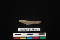 藏品(獸骨)的圖片