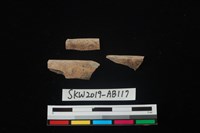 藏品(獸骨)的圖片