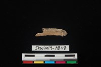 藏品(獸骨)的圖片