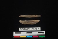 藏品(獸骨)的圖片