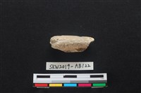 藏品(獸骨)的圖片