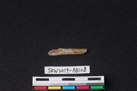 藏品(獸骨)的圖片