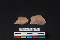 藏品(獸骨)的圖片