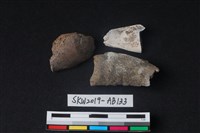 藏品(獸骨)的圖片