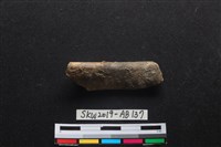 藏品(獸骨)的圖片