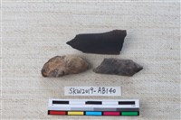 藏品(魚骨)的圖片