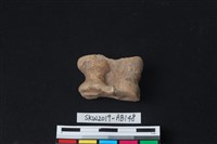 藏品(獸骨)的圖片