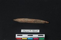 藏品(獸骨)的圖片