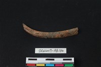 藏品(獸骨)的圖片