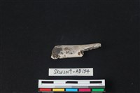 藏品(獸骨)的圖片