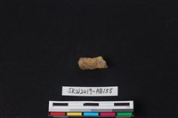 藏品(獸骨)的圖片