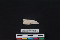 藏品(獸骨)的圖片