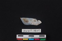 藏品(獸骨)的圖片