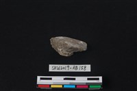 藏品(獸骨)的圖片