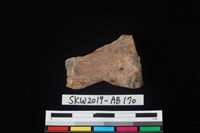 藏品(獸骨)的圖片