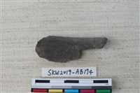 藏品(獸骨)的圖片