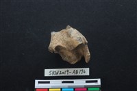 藏品(獸骨)的圖片