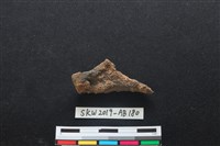 藏品(獸骨)的圖片