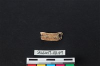 藏品(獸骨)的圖片